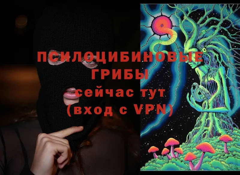 Галлюциногенные грибы MAGIC MUSHROOMS  Ковров 